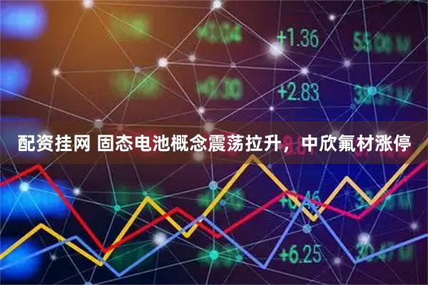 配资挂网 固态电池概念震荡拉升，中欣氟材涨停